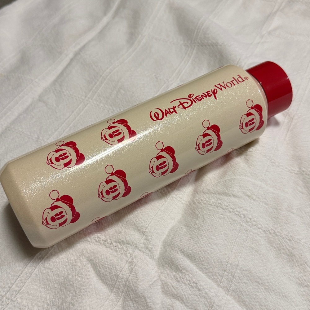 Disney World Starbucks Holiday Christmas Mickey Stainless Steel Water Bottle